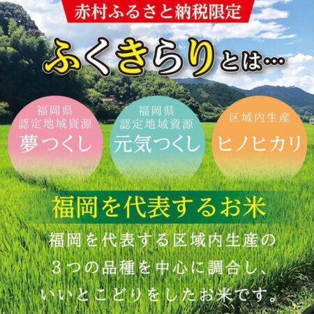 福岡県 ふくきらり 20kg(5kg×4袋)