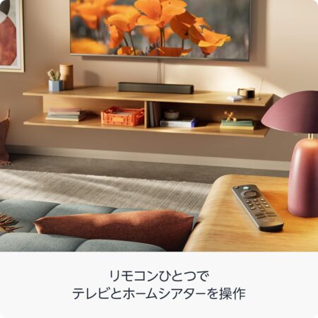 Amazon Fire TV Stick HD | 大画面でフルHDの楽しさを簡単に | ストリーミングメディアプレイヤーの利用イメージ