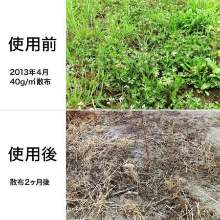 レインボー薬品 除草剤 こっぱみじんM 3kg