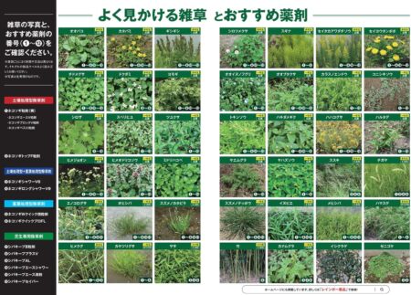 レインボー薬品 除草剤 こっぱみじんM 3kg