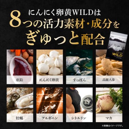 やずや公式 にんにく卵黄WILD サプリ マカ すっぽん 亜鉛 牡蠣
