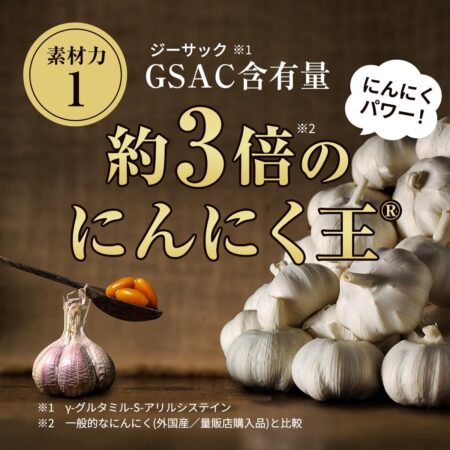 健康家族 伝統にんにく卵黄 極 93粒入