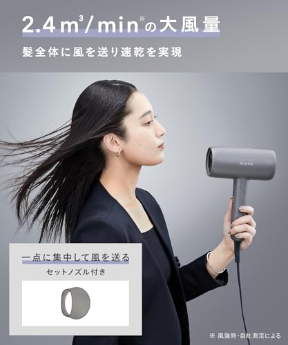 SALONIA サロニア スムースシャイン ドライヤー 大風量 速乾 軽量 ヘアドライヤー グレー【Amazon.co.jp限定】 中間 画像