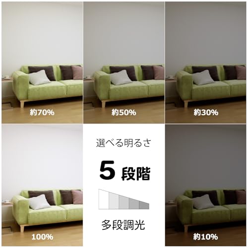 HotaluX（ホタルクス） <日本製> LEDシーリングライト HLDC06258 適用畳数~6畳 (日本照明工業会基準) 3200lm 昼光色-電球色（6500K-2700K）調色調光タイプ（主照明５段階、常夜灯３段階）リモコン シンプルデザイン 中間 画像” loading=”lazy” decoding=”async” data-id=”24356″ /></figure>
<p>部屋の照明選びで重要視されるポイントの一つに「調色調光機能」があります。<br />特に6畳程度の居室に適したLEDシーリングライトを探している方にとって、使いやすさや明るさ調整の細かさが満足度を左右します。<br />今回ご紹介するHotaluX（ホタルクス） HLDC06258は、昼光色から電球色まで幅広く調整可能な日本製LEDシーリングライトであり、日本照明工業会の基準に準じた3200ルーメンの明るさを持ちます。<br />リモコン操作による主照明の5段階調光と常夜灯の3段階調整は利用者のニーズに応じて簡単に明るさや色温度を変えられる点が魅力です。</p>
<h3><span id=