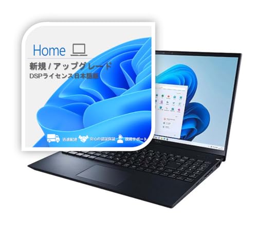 【Windows11 Home】 DSPライセンス日本語版 画像1
