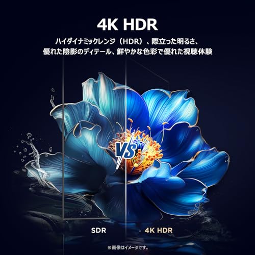 【Amazon.co.jp限定】TCL 75V型 テレビ 4K 液晶 75V6C Wチューナー内蔵 HDR10 Dolby Audio Airplay2 ChromeCast ALLM VRR 目保護 Alexa 音声検索 壁かけ対応 2025年モデル HDMI ゲームマスター チューナーイン スマートテレビ 中間 画像