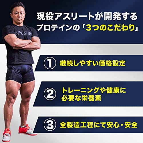 エクスプロージョン プロテイン 3kg ホエイプロテイン (ヨーグルト味/大容量/国内製造/WPC) X-PLOSION 中間 画像