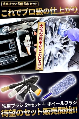 【ご要望の多かったブラシセットが新登場】洗車ブラシセット 6本セット 洗車用品セット ボディ用 ホイール用 筆 隙間 タイヤブラシ ディテールブラシ ホイールブラシ 洗車 洗車グッズ 洗車用品 洗車用クリーナー 最後 画像