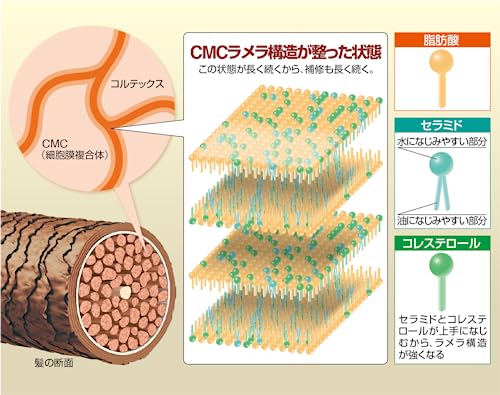 ReKERA(リケラ) エマルジョン 200mL リトル・サイエンティスト 中間 画像