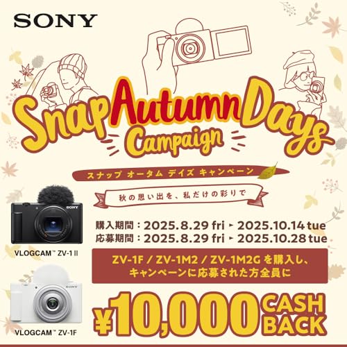 SONY(ソニー) コンパクトデジタルカメラ VLOGCAM Vlog用カメラ ZV-1II ボディ ウィンドスクリーン付属 18-50mm F1.8-4.0 ズームレンズ ブラック ZV-1M2 B 最後 画像