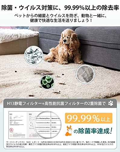 【純正品】Levoit (レボイト) 空気清浄機 Core P350 交換用フィルター 除臭特化 Core 300/Core 300S/Core300 PlasmaProにも適用 中間 画像