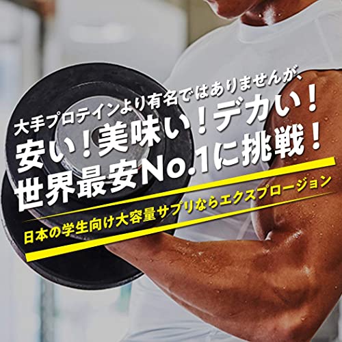 エクスプロージョン プロテイン 3kg ホエイプロテイン (ヨーグルト味/大容量/国内製造/WPC) X-PLOSION 最後 画像