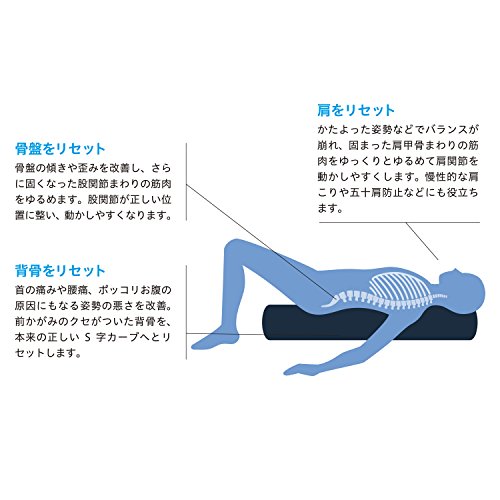 ストレッチポール(R)EX LPN社製 ネイビー 中間 画像