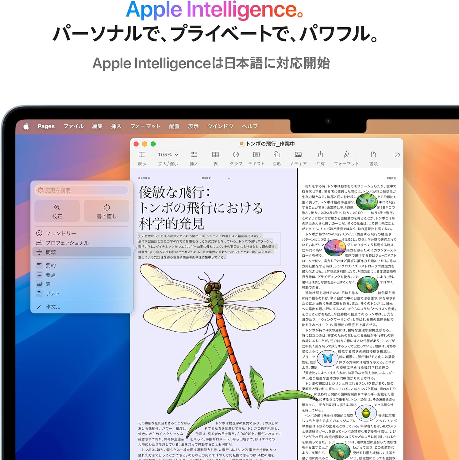 Apple 2025 MacBook Air M4 チップ搭載 13 インチノートブック 256GB SSD ストレージ 最後 画像