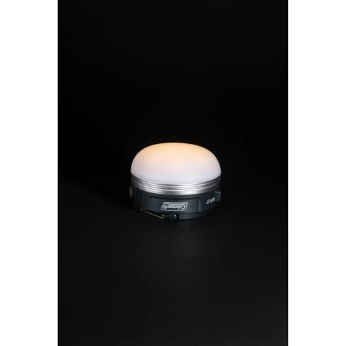 Coleman(コールマン) ハンギングEライト LED 防災 停電 充電式 アウトドア キャンプ 登山 照明 小型 作業灯 卓上 USB充電 中間 画像