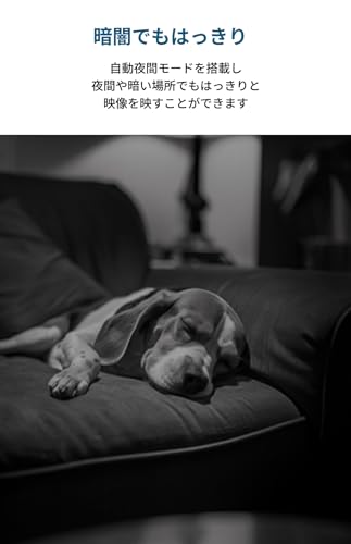 Anker Eufy Indoor Cam C220 (見守りカメラ) 【ペットカメラ/ベビーモニター/ペット見守り/屋内カメラ/ネットワークカメラ / 2K画質 / ズーム対応 / 360°監視/AI動作検知/Wi-Fi対応 】 中間 画像