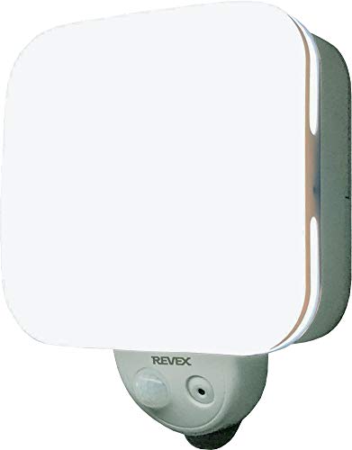 リーベックス(Revex) outdoor 防犯 カメラ 録画式 人感センサー ライト microSDカード (別売) SDN500 1枚目 画像