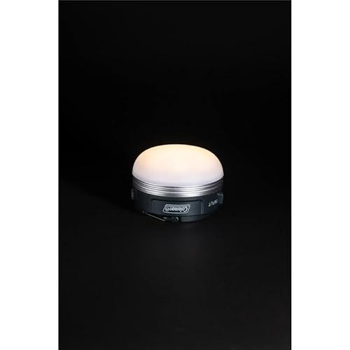 Coleman(コールマン) ハンギングEライト LED 防災 停電 充電式 アウトドア キャンプ 登山 照明 小型 作業灯 卓上 USB充電 中間 画像