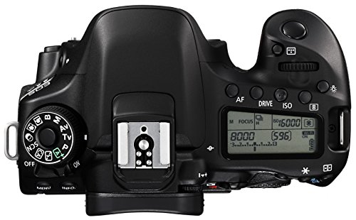 EOS 80D ボディ 中間 画像
