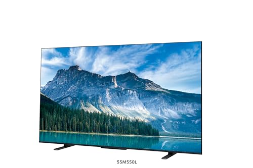 REGZA 55インチ 4K 液晶 55M550M スマートテレビ Airplay対応 2023年モデル 最後 画像