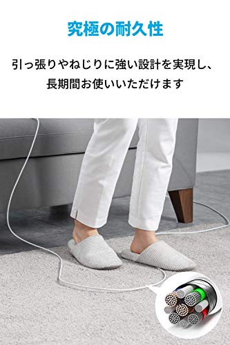Anker PowerLine III USB-C & USB-C 2.0 ケーブル (1.8m ホワイト) 超高耐久 60W USB PD対応 iPhone 16 / 15 MacBook Pro/Air iPad Pro Galaxy 等対応 中間 画像
