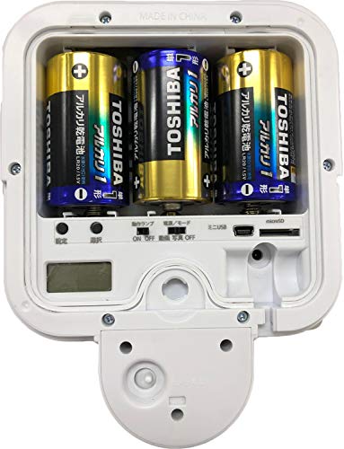 リーベックス(Revex) outdoor 防犯 カメラ 録画式 人感センサー ライト microSDカード (別売) SDN500 中間 画像