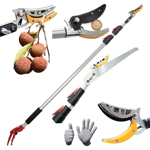 xixi-home 高枝切りバサミ 伸縮式 【庭師推奨】 sk5高級合金鋼 2段 3段 2m 3m 4m 5m 軽量 鋸付き ロック付き 果物取り 高枝切り鋏 高枝切りノコギリ 剪定 太枝 はさみ ガーデニング 採果 農場 庭園 園芸用具 業務用 家庭用 1枚目 画像