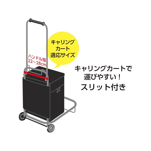 【Amazon.co.jp 限定】サーモス ソフトクーラー 20L グレー保冷バッグ 5層断熱構造 折りたためてコンパクト はっ水加工生地 ボックス型 大容量モデル RFD-0201 GY 中間 画像