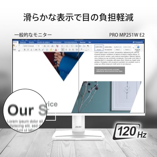 【Amazon.co.jp限定】MSI PRO MP251W E2 モニター 24.5インチ/フルHD/IPSパネル/120Hz/HDMI/MSI Power Link/DisplayPort/D-sub/アンチフリッカー/ブルーライトカット/スピーカー搭載/HDR/VESA対応/3年保証 中間 画像