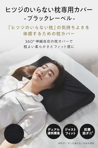 ヒツジのいらない枕 枕カバー 単品 ブラックレーベル さらさらカバー 至極専用 最後 画像