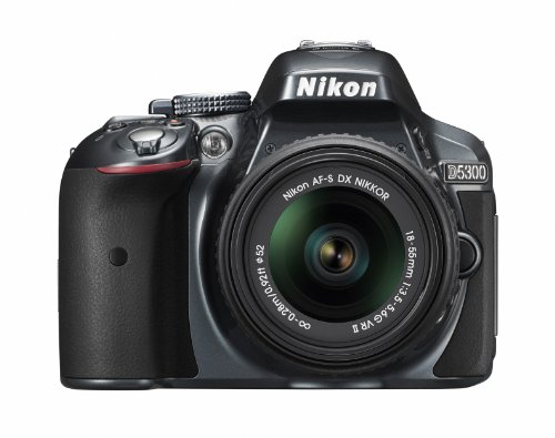 Nikon デジタル一眼レフカメラ D5300 18-55mm VR II レンズキット グレー 2400万画素 3.2型液晶 D5300LK18-55VR2GY 1枚目 画像