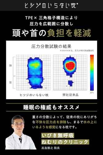 ヒツジのいらない枕 枕 まくら テンセル枕カバー付き 丸洗いOK 高め枕 横向き寝 耐圧分散 寝返り 快眠枕 BIGサイズ 父の日 ギフト プレゼント 極柔 中間 画像