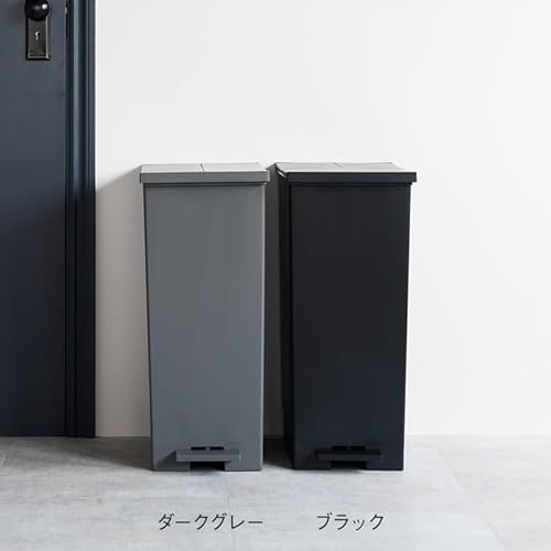 [ケユカ] テレビで紹介 両開きダストボックス LL 42L 白 キャスター付 蓋付 分別 ゴミ箱 ゴミ袋対応 ペダル式 ホワイト KEYUCA 中間 画像
