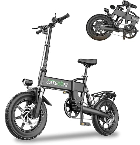 電動アシスト自転車 折りたたみ 14インチ大容量 5段変速 最大続行距離120km 小型 超軽量 公道可 100%完成品 2025新仕様 (アルミ, black) 1枚目 画像