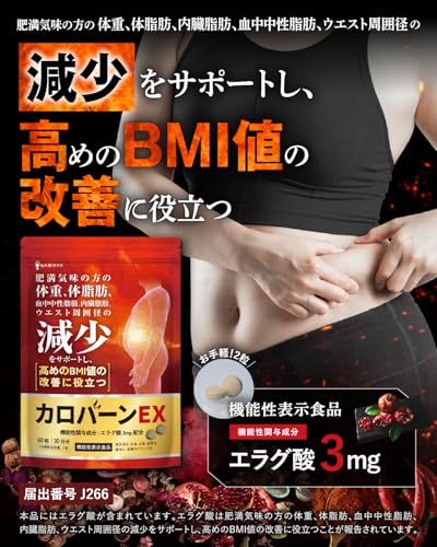 カロバーンEX 90日分 肥満気味の方の体重 体脂肪の減少を助ける 血中中性脂肪 内臓脂肪 ウエスト周囲径 の減少をサポート 高めの BMI値 の改善に役立つ 機能性表示食品 αリポ酸 業界屈指23種のサポート成分贅沢配合 悩み解決ラボ 最後 画像
