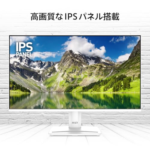 【Amazon.co.jp限定】MSI PRO MP251W E2 モニター 24.5インチ/フルHD/IPSパネル/120Hz/HDMI/MSI Power Link/DisplayPort/D-sub/アンチフリッカー/ブルーライトカット/スピーカー搭載/HDR/VESA対応/3年保証 中間 画像