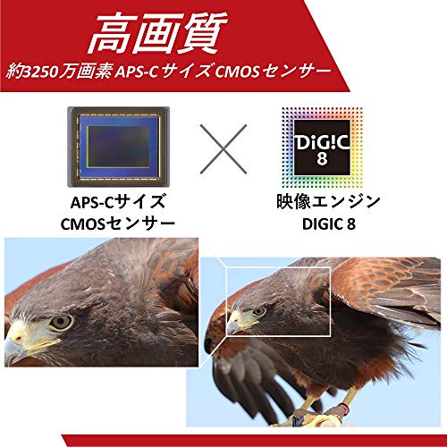 Canon デジタル一眼レフカメラ EOS 90D EF-S18-135 IS USM レンズキット EOS90D18135ISUSMLK 中間 画像