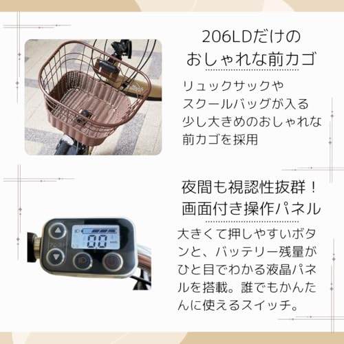PELTECH(ペルテック) 折り畳み電動アシスト自転車 20インチ折り畳み外装6段変速 【簡易組立必要品】TDN-206L (8AHバッテリー, ブルーグレイ) 中間 画像