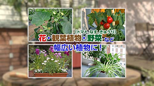 【セット買い】 住友化学園芸 殺虫剤 オルトランDX粒剤 1kg & 殺虫殺菌剤 ベニカXファインスプレー 1000ml 最後 画像