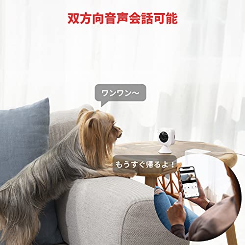 SwitchBot 見守りセット(Hubなし)屋内カメラ+人感センサー+開閉センサー アレクサに対応 スマートホーム 双方向音声会話 遠隔操作 アラーム通知 取付簡単 防犯対策 小型 セキュリティセット 最後 画像