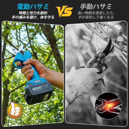 【2025年新登場】SEESII 高枝チェーンソー たかえだ 電動バサミ 8インチ 充電式チェーンソー 高枝切り剪定ハサミ 1台4役 セット 強力 電動のこぎり 軽量 コードレス ブラシレスモーター オイル注ぎ機能 延長ポール 125cm～250cm無段階調整 パワフル プロ 伐採 木工切断 庭木の剪定 4.0Ah大容量バッテリー2個付き 中間 画像