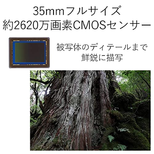 【整備済み品】 Canon デジタル一眼レフカメラ EOS 6D Mark II EF24-105 IS STM レンズキット EOS6DMK2-24105ISSTMLK (整備済み品) 中間 画像