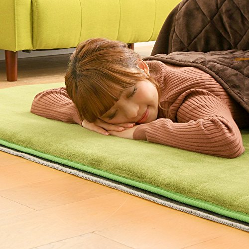 【節電対策】TEKNOS ホットカーペット HC-IR200 電気カーペット 2畳 176×176cm ダニ退治機能付き ホットマット 暖房面積切替 コンパクト収納 中間 画像