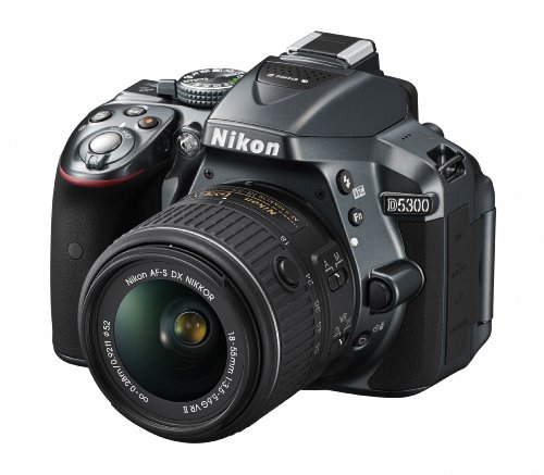 Nikon デジタル一眼レフカメラ D5300 18-55mm VR II レンズキット グレー 2400万画素 3.2型液晶 D5300LK18-55VR2GY 最後 画像