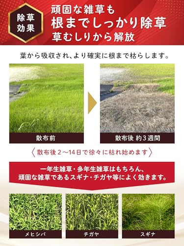 ハート(Heart) グリホエースPRO 5L 4本セット 除草剤 液剤 原液 ジェネリック 頑固な雑草 根まで枯らす 笹 つる スギナ 宅地 駐車場 中間 画像