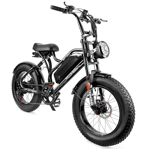 電動アシスト自転車 レトロ調 20インチ 極太タイヤ シマノ7段変速 5段階アシスト 48V10AH大容量バッテリー 前後ディスクブレーキ IP54防水仕様 山登り アウトドア キャンプ 通勤 通学 街乗り 日本語取扱説明書 ブラック 公道走行可 1枚目 画像