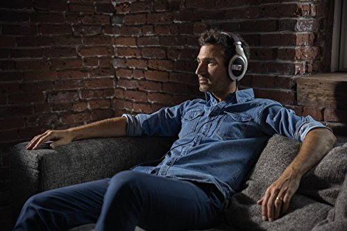 ゼンハイザー(Sennheiser) ヘッドホン 有線 HD 599 開放型 オープン型 アイボリー 【国内正規品】 最後 画像