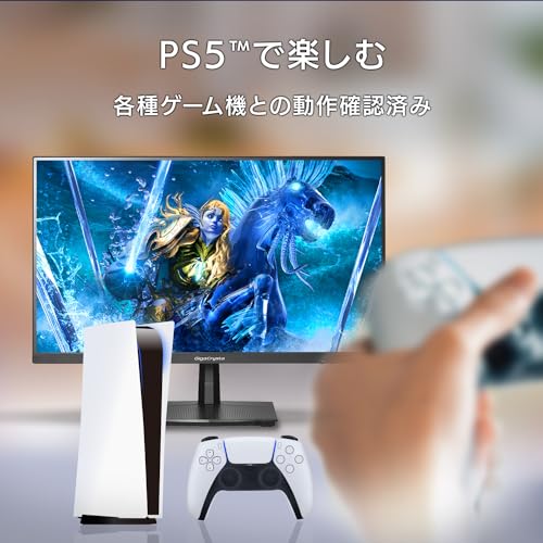 IODATA ゲーミングモニター 24.5インチ GigaCrysta 120Hz HFSパネル ブラック 無輝点保証対応 (HDMI/DisplayPort/VESA対応/チルト角調整/土日サポート/日本メーカー/無輝点保証) EX-GD251SH 中間 画像