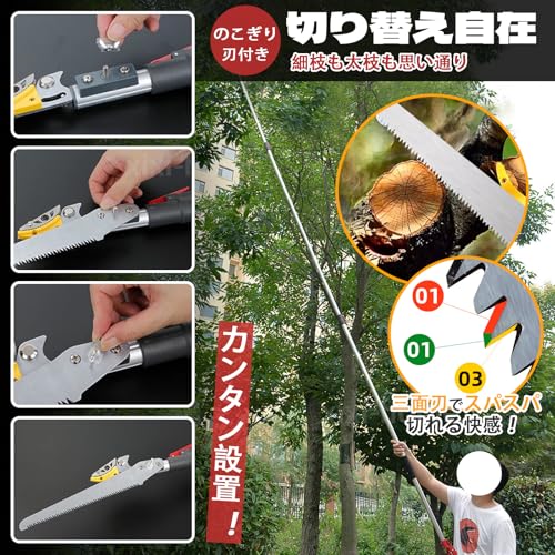 xixi-home 高枝切りバサミ 伸縮式 【庭師推奨】 sk5高級合金鋼 2段 3段 2m 3m 4m 5m 軽量 鋸付き ロック付き 果物取り 高枝切り鋏 高枝切りノコギリ 剪定 太枝 はさみ ガーデニング 採果 農場 庭園 園芸用具 業務用 家庭用 中間 画像