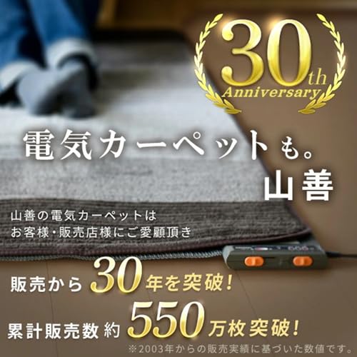 【Amazon.co.jp限定】[山善] ホットカーペット 1畳 (88cm×175cm) ダニ対策機能 温度調節5段階 コンパクト収納 グレー AUB-100 中間 画像